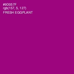 #9D057F - Fresh Eggplant Color Image